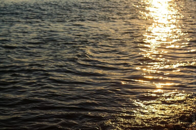 save_20240811_1209534176759824485650667